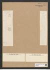 Diatomeae indet. Zeichnungen Sammlung Grunow Nr. 5504 (NHMW-BOT-W0373945)